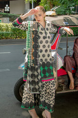 Dilruba Printed 3pcs