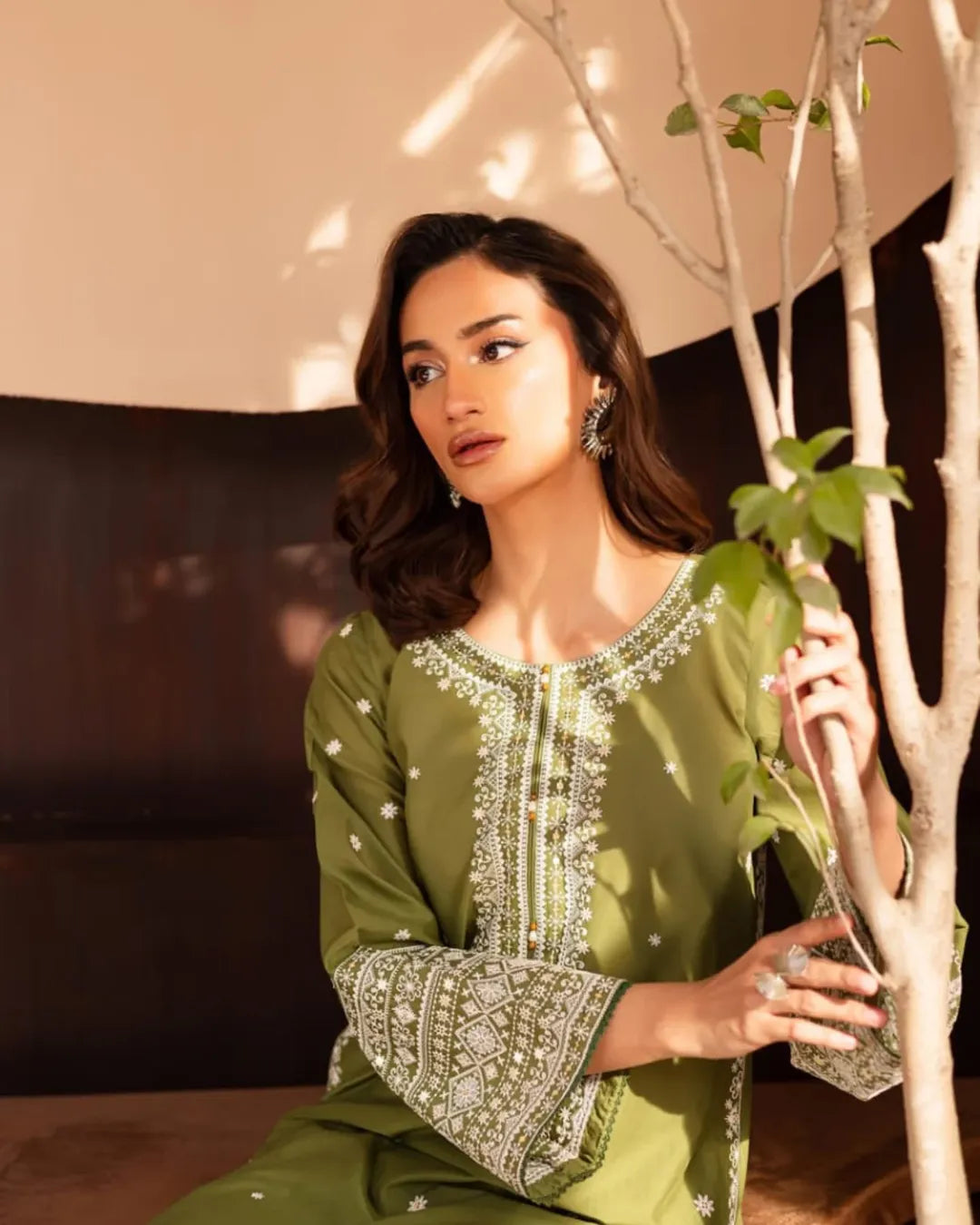 Safina Embroidered 2pcs